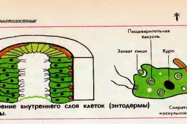 Kraken официальный сайт вход