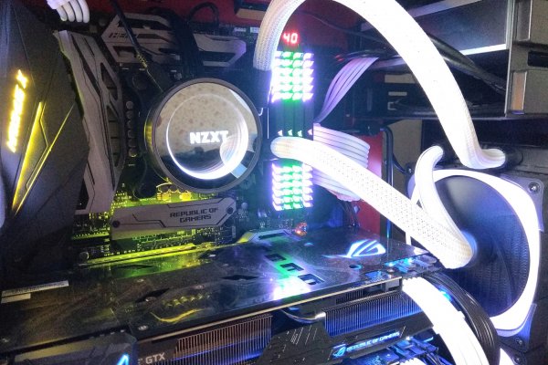 Kraken 24 top