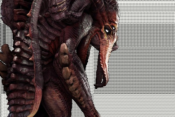 Кракен актуальная ссылка kraken torion net