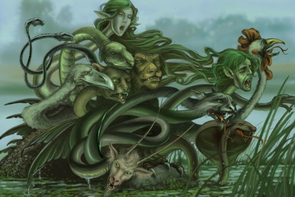 Kraken tor link