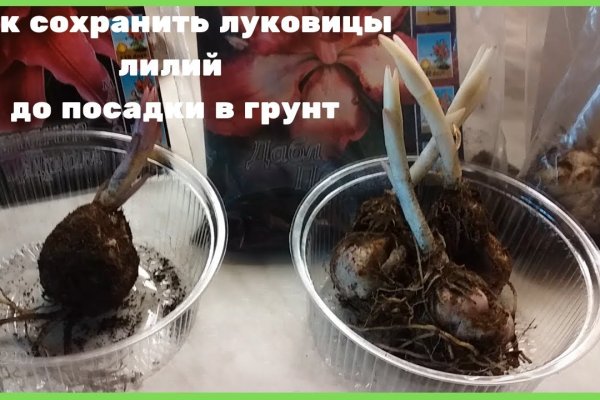 Kraken вход kraken torion