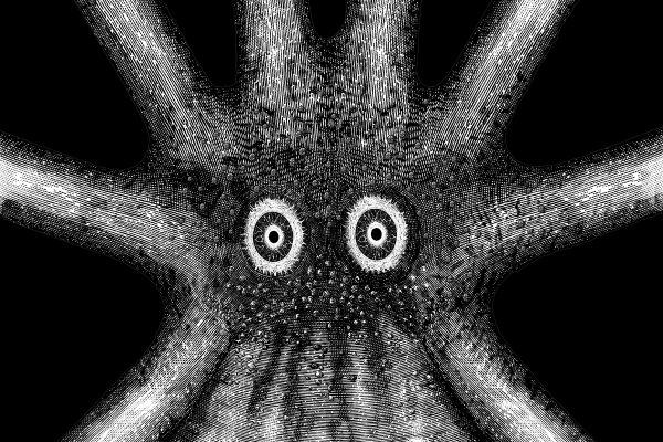 Kraken20 at
