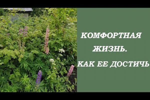 Мега кракен блэк спрут