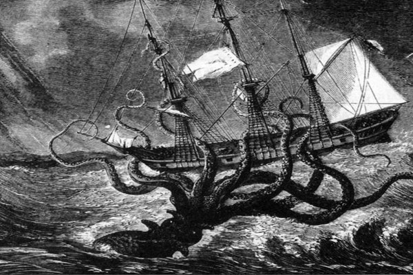 Kraken 6 at