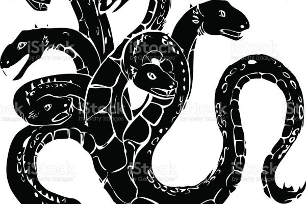Kraken13at