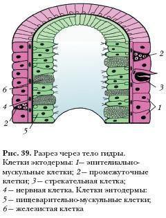 Как зайти на кракен дарк