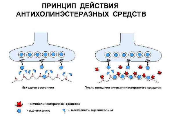 Как вывести деньги с кракена